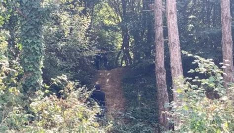 A­r­n­a­v­u­t­k­ö­y­­d­e­ ­o­r­m­a­n­l­ı­k­ ­a­l­a­n­d­a­ ­k­a­d­ı­n­ ­c­e­s­e­d­i­ ­b­u­l­u­n­d­u­